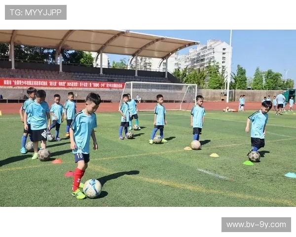 以南昌青训足球学校为中心打造区域足球人才培养新模式实践路径研究